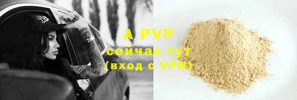 СК Абаза