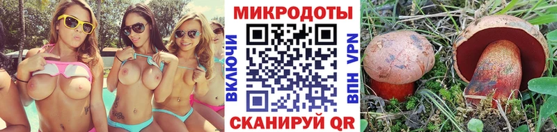Псилоцибиновые грибы Cubensis  купить  сайты  Кировград 